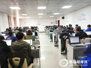元宵佳節，相聚黑馬 鄭州Python基礎3期開班啦！